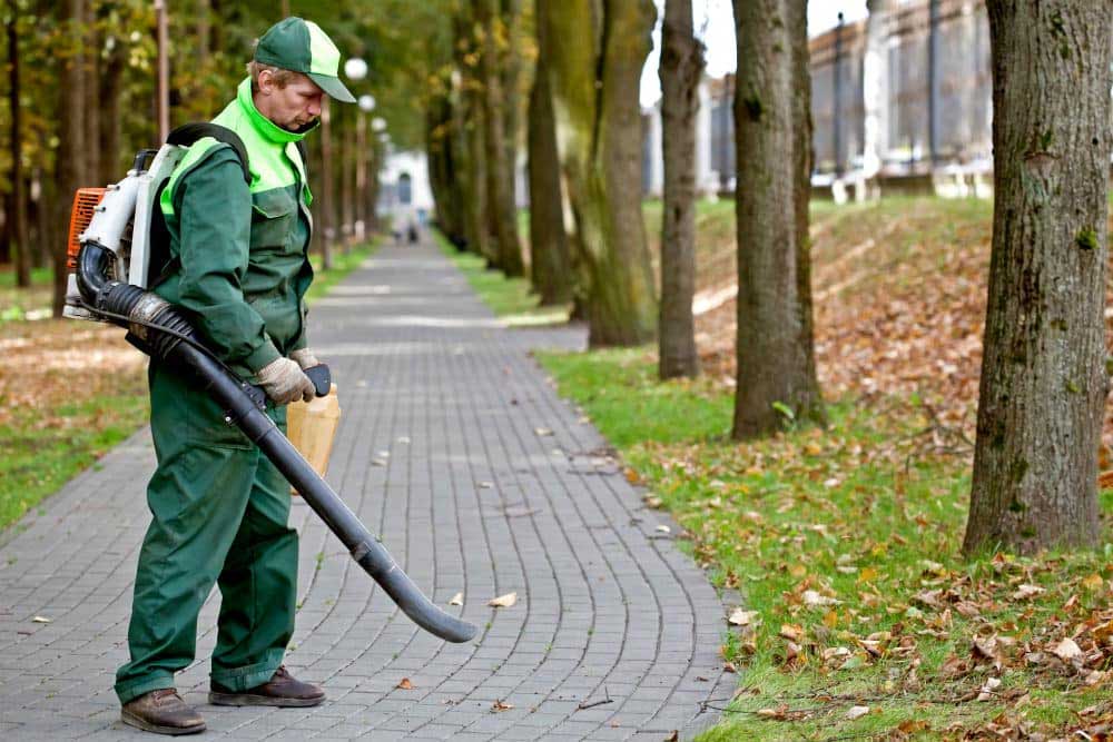 Leaf Blower Expert