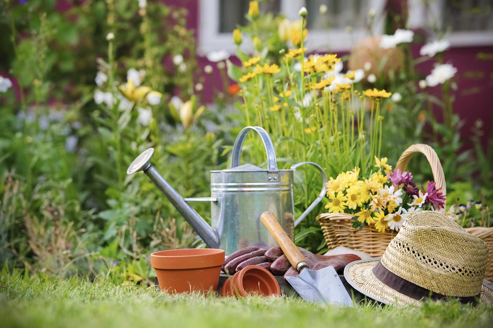 Eco-Friendly Garden